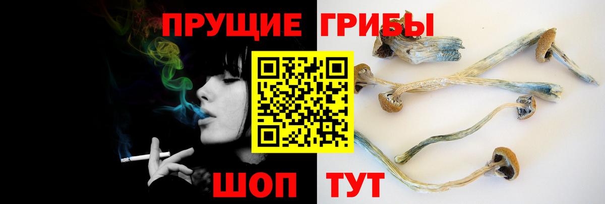 Галлюциногенные грибы ЛСД  Галлюциногенные грибы GOLDEN TEACHER  Вход с VPN  Десногорск 
